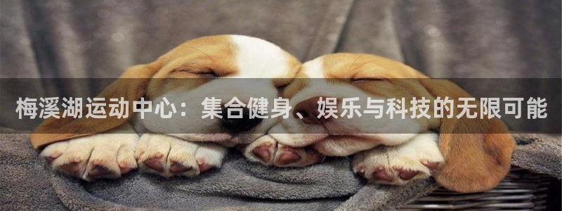 fb体育娱乐代理怎么样：梅溪湖运动中心：集合健身、娱乐与科技