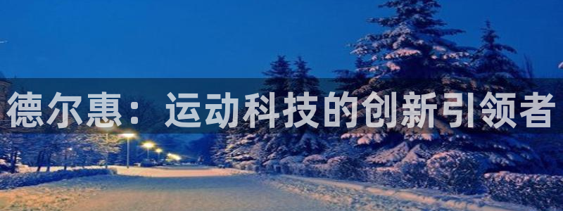 fb体育开户：德尔惠：运动科技的创新引领者