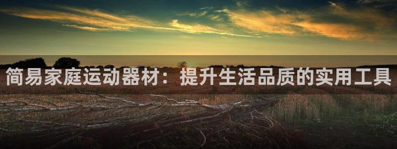 fb体育招商电话地址：简易家庭运动器材：提升生活品质的实用工