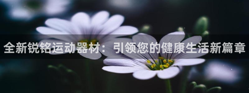 fb体育集团官网网址：全新锐铭运动器材：引领您的健康生活新篇