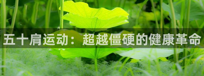 fb体育招商电话号码查询是多少：五十肩运动：超越僵硬的健康革