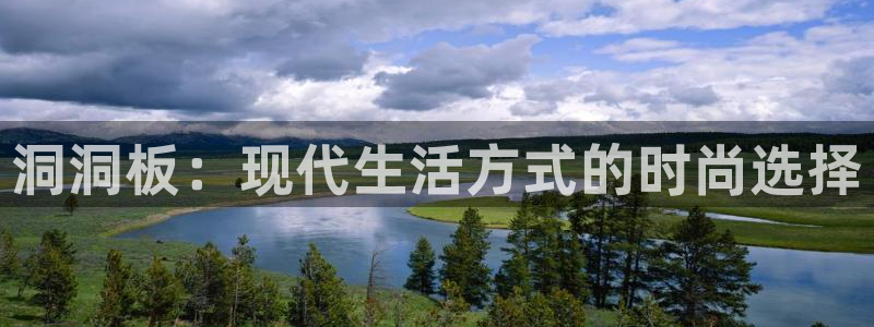 fb体育官方：洞洞板：现代生活方式的时尚选择