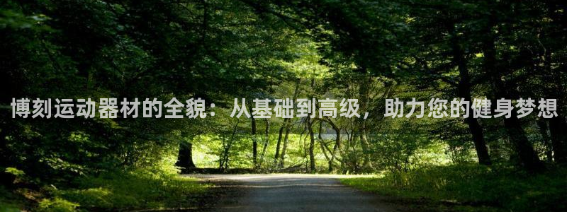 fb体育平台是正规平台吗：博刻运动器材的全貌：从基础到高级，