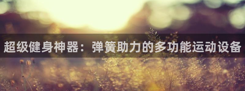 海南fb体育：超级健身神器：弹簧助力的多功能运动设备