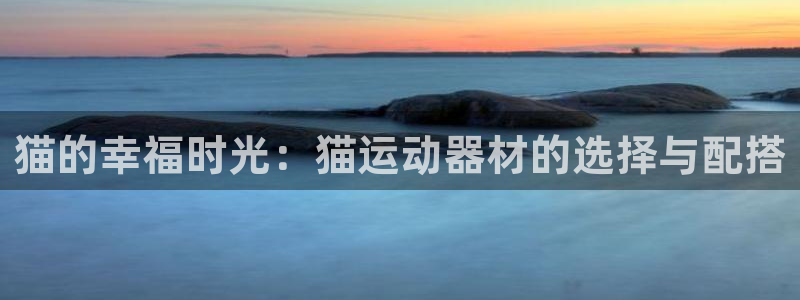 fb体育是干嘛的公司：猫的幸福时光：猫运动器材的选择与配搭